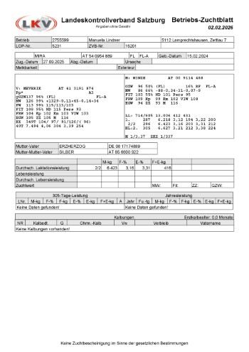 tr�chtige Fleckvieh Kalbin zu verkaufen, beweidet und ruhig